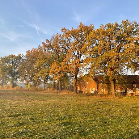 Eichenhof Hotel Garni Groß Köris Dış mekan fotoğraf