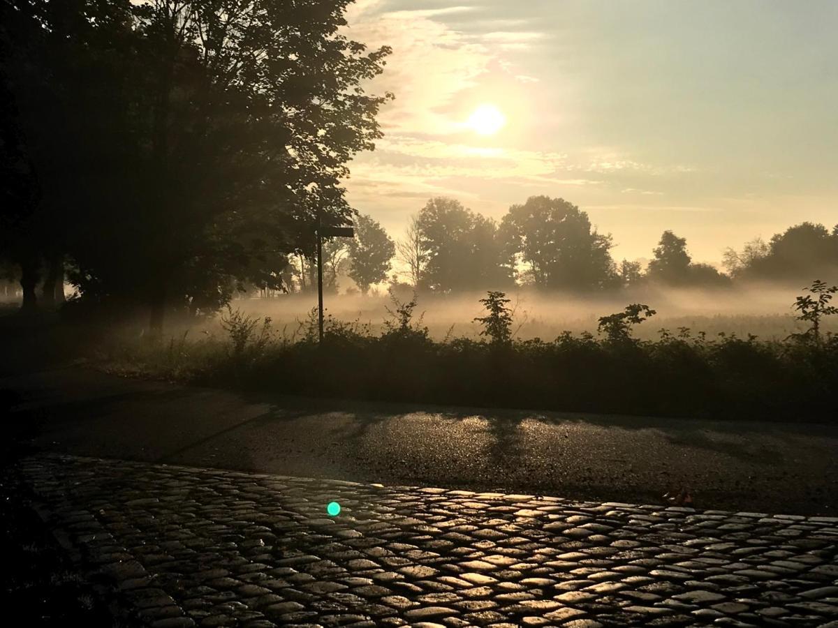 Eichenhof Hotel Garni Groß Köris Dış mekan fotoğraf