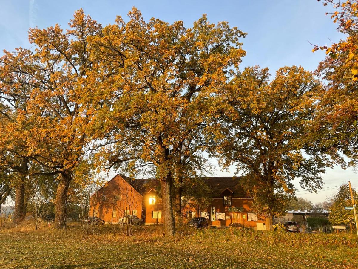 Eichenhof Hotel Garni Groß Köris Dış mekan fotoğraf