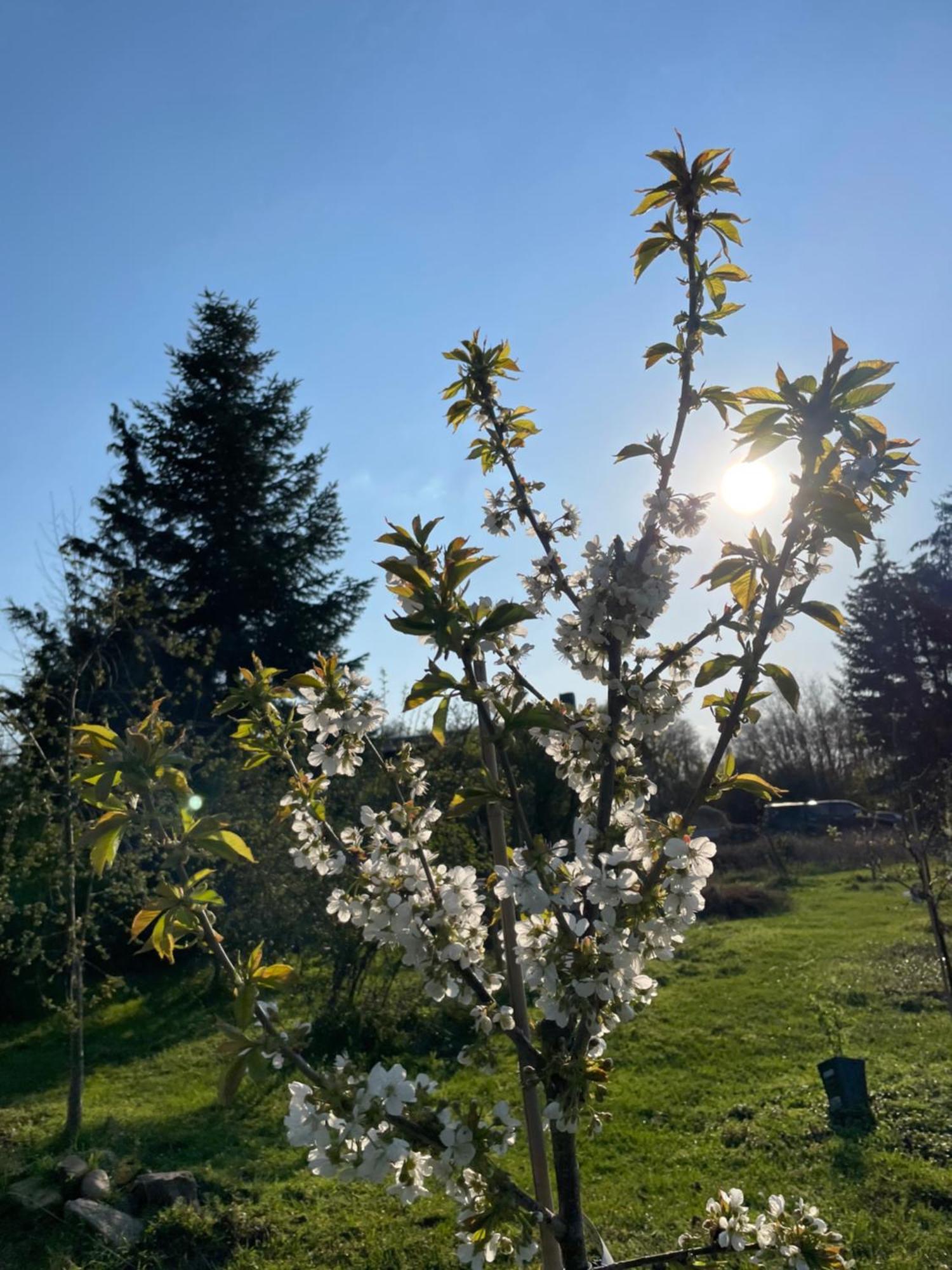 Eichenhof Hotel Garni Groß Köris Dış mekan fotoğraf